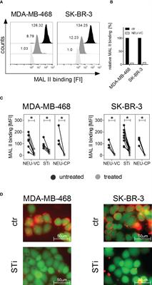 Disruption of the sialic acid/Siglec-9 axis improves antibody-mediated neutrophil cytotoxicity towards tumor cells